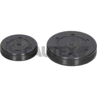 Bouchon, axe de culbuteurs-nez fileté CAUTEX OEM 7700106271