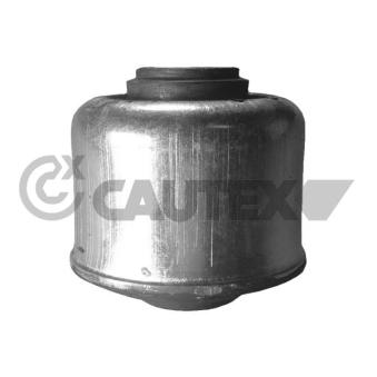 Silent bloc de l'essieu / berceau CAUTEX 020794