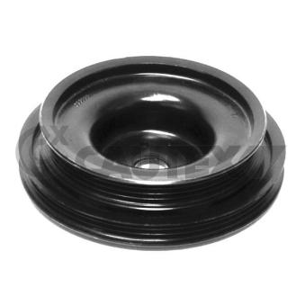 Poulie, vilebrequin CAUTEX OEM 8200972496