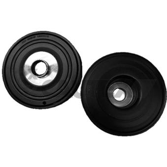 Poulie, vilebrequin CAUTEX OEM 8200386470