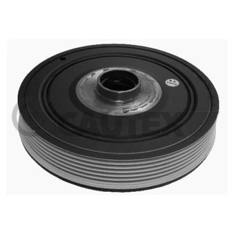 Poulie, vilebrequin CAUTEX OEM 8200505824