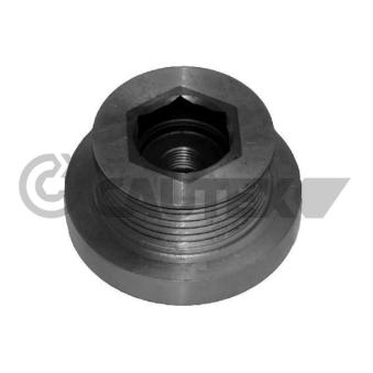 Poulie roue libre, alternateur CAUTEX OEM 7700110616