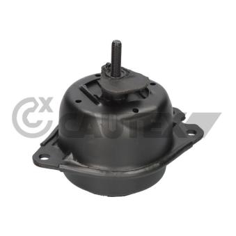 Support moteur CAUTEX OEM 8200052028