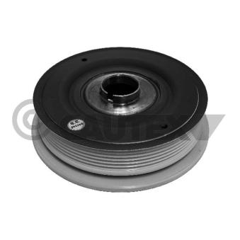 Poulie, vilebrequin CAUTEX OEM 8200664348