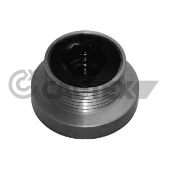 Poulie roue libre, alternateur CAUTEX OEM 7700110616
