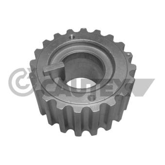 Roue dentée, vilebrequin CAUTEX OEM 8200371496