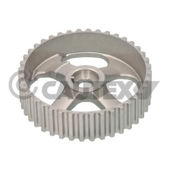 Roue dentée, arbre à came CAUTEX OEM 7700111951