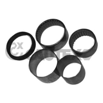 Silent bloc de l'essieu / berceau CAUTEX OEM 7701464321 Silent bloc de l'essieu / berceau CAUTEX OEM 7701464321