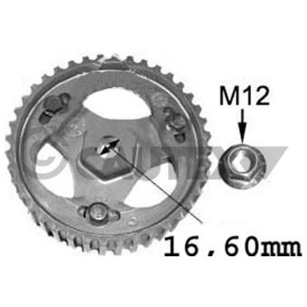 Pignon, pompe d'injection CAUTEX [021516]