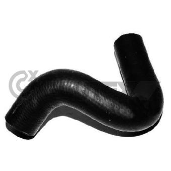 Durite de radiateur CAUTEX OEM 7700751786