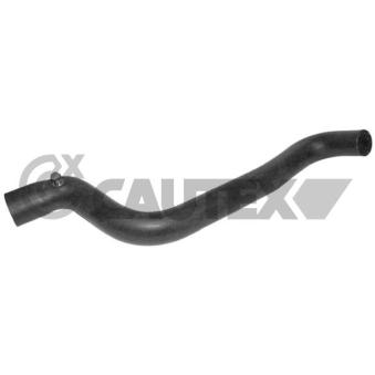 Durite de radiateur CAUTEX [026439]