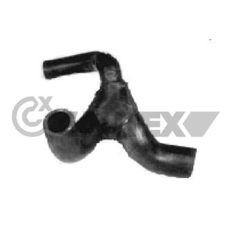 Durite de radiateur CAUTEX 026534