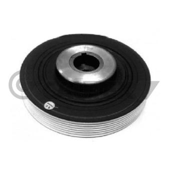 Poulie, vilebrequin CAUTEX OEM 0515R5