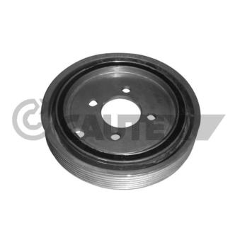 Poulie, vilebrequin CAUTEX OEM 0515N3 Poulie, vilebrequin CAUTEX OEM 0515N3