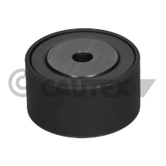 Poulie renvoi/transmission, courroie trapézoïdale à nervures CAUTEX OEM 7700870937