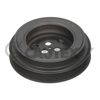 Poulie, vilebrequin CAUTEX OEM 9659920080