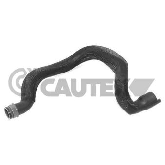 Durite de radiateur CAUTEX 031069