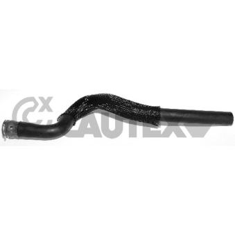 Tuyau, échangeur de chaleur (chauffage) CAUTEX OEM 6466F8