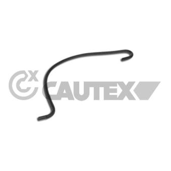 Durite de radiateur CAUTEX [031318]