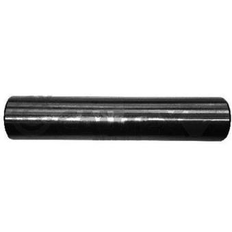 Suspension, jambe d'essieu arrière droit CAUTEX 031445