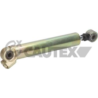 Vérin, direction assistée CAUTEX [031708]