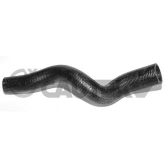 Durite de radiateur CAUTEX OEM 1343FE
