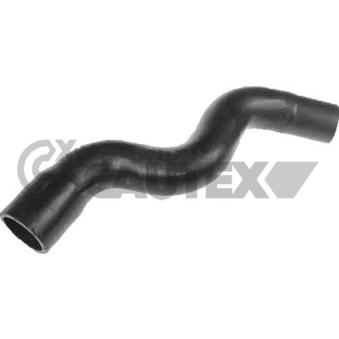 Durite de radiateur CAUTEX OEM 1343N7