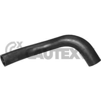 Durite de radiateur CAUTEX 036063