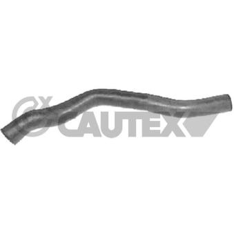 Durite de radiateur CAUTEX 036123