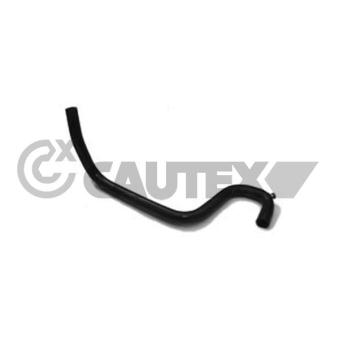 Durite de radiateur CAUTEX 036176