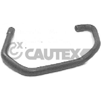 Durite de radiateur CAUTEX 036191
