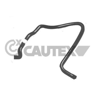 Tuyau, échangeur de chaleur (chauffage) CAUTEX 036193 Tuyau, échangeur de chaleur (chauffage) CAUTEX 036193