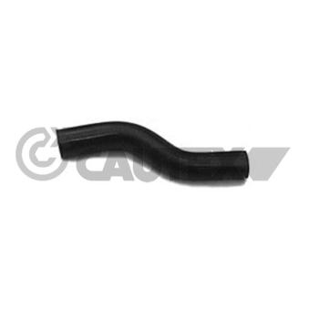 Durite de radiateur CAUTEX 036194