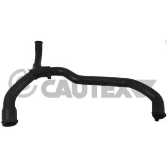 Durite de radiateur CAUTEX 036381