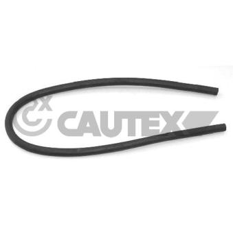 Durite de radiateur CAUTEX OEM 1351Y6