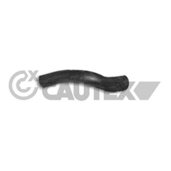 Durite de radiateur CAUTEX 036427