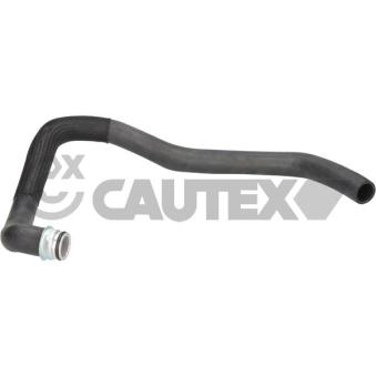 Durite de radiateur CAUTEX 036765