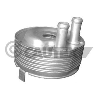 Radiateur d'huile CAUTEX OEM 213055M301