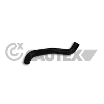 Durite de radiateur CAUTEX 066552
