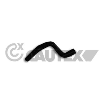 Durite de radiateur CAUTEX 066554