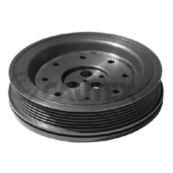 Poulie, vilebrequin CAUTEX OEM 1124891