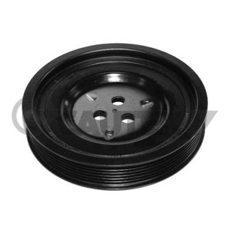 Poulie, vilebrequin CAUTEX 080965