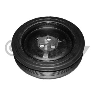 Poulie, vilebrequin CAUTEX OEM 1727140