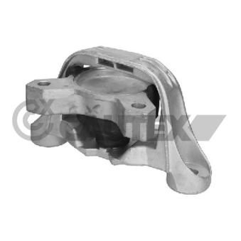 Support moteur CAUTEX OEM 1332880