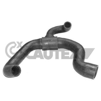 Durite de radiateur CAUTEX OEM 1093551