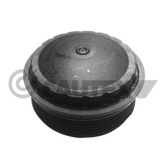 Couvercle, boîtier du filtre à huile CAUTEX OEM 7701048886