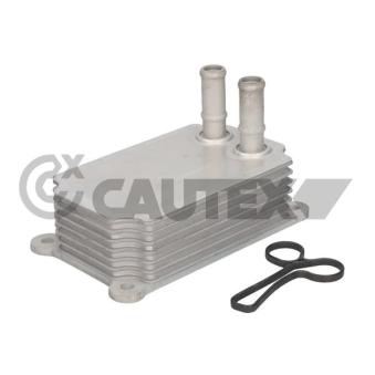Radiateur d'huile CAUTEX OEM 1097629