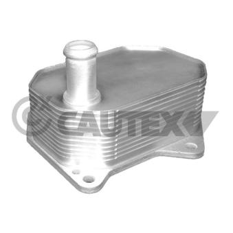 Radiateur d'huile CAUTEX OEM 1372757