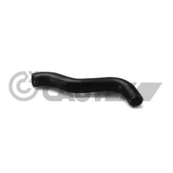Durite de radiateur CAUTEX OEM 6079523
