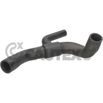 Durite de radiateur CAUTEX 086161